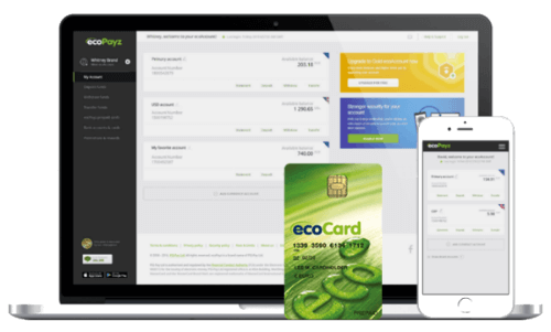 ecoPayz payments